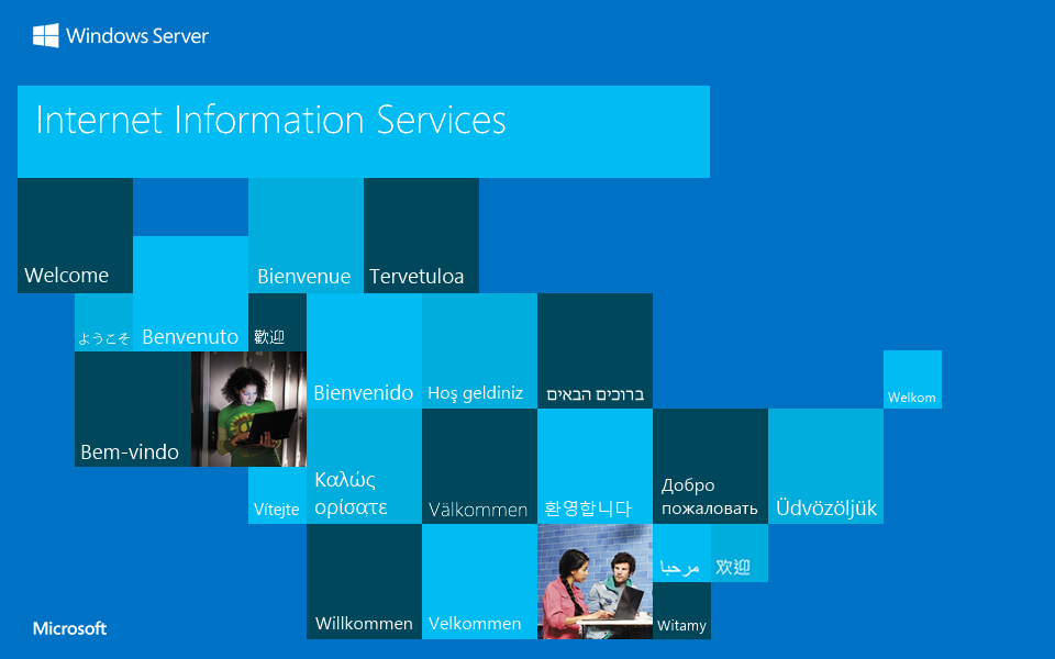 Microsoft Internet Information Services 8.0